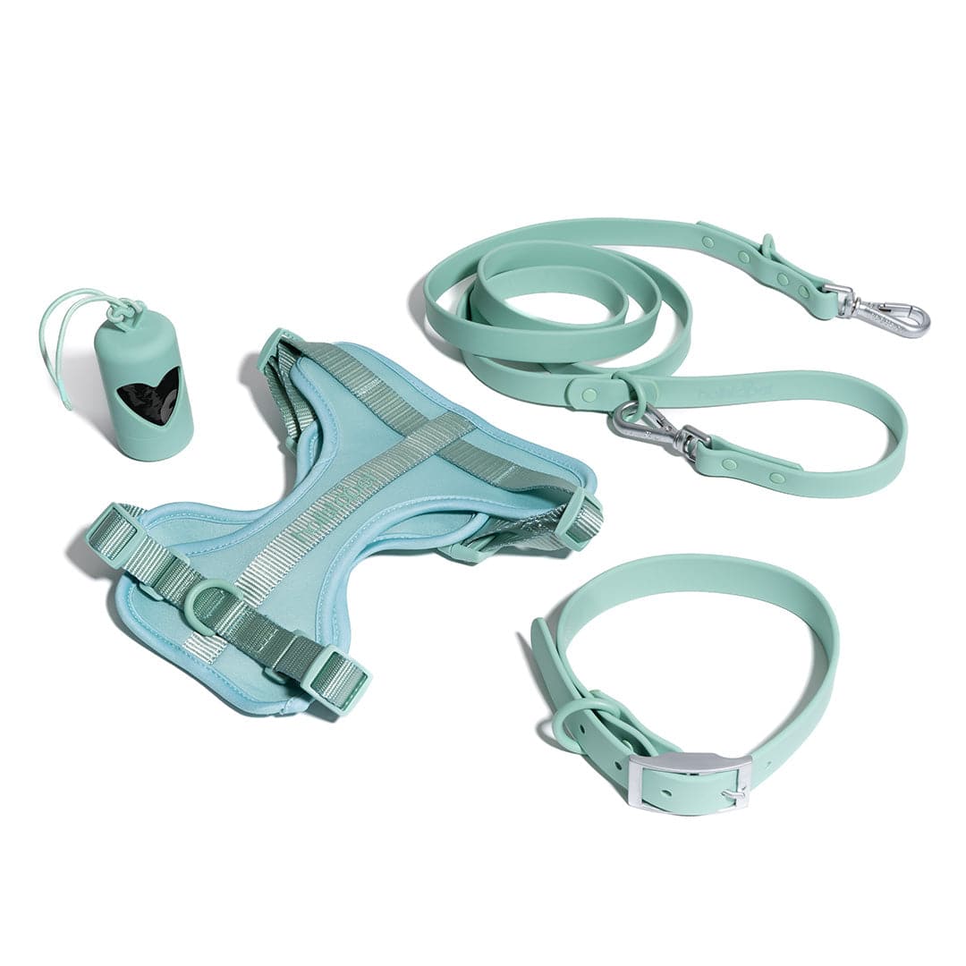 Walk n 2024 sync harness