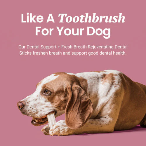 DOG BREATH FRESHENER DENTAL STICKS FOR ORAL HEALTH