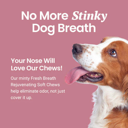 DOG BREATH FRESHENER MINT SOFT CHEWS FOR BAD BREATH