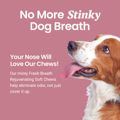 Dog bad breath outlet chews