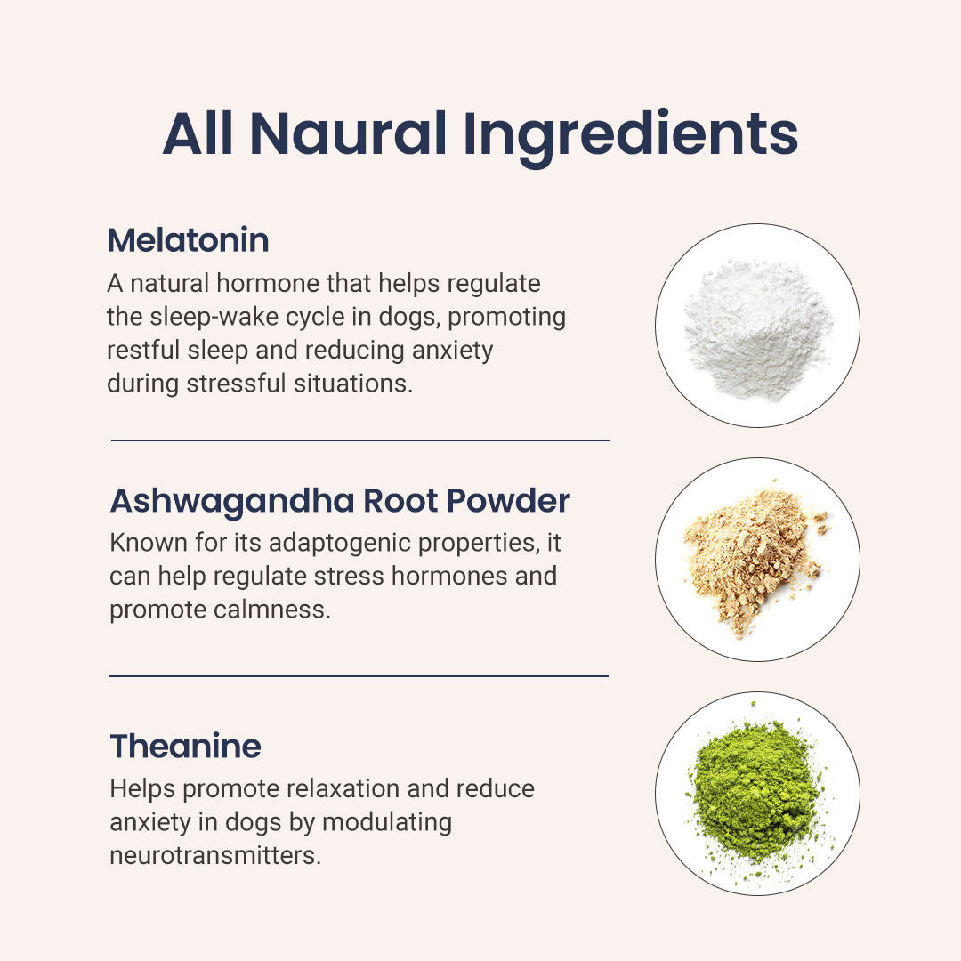 Description of natural ingredients for dog relaxation and anxiety reduction: melatonin, ashwagandha root powder, theanine.