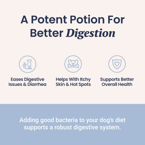 Probiotics For Dogs [Soft Chews]