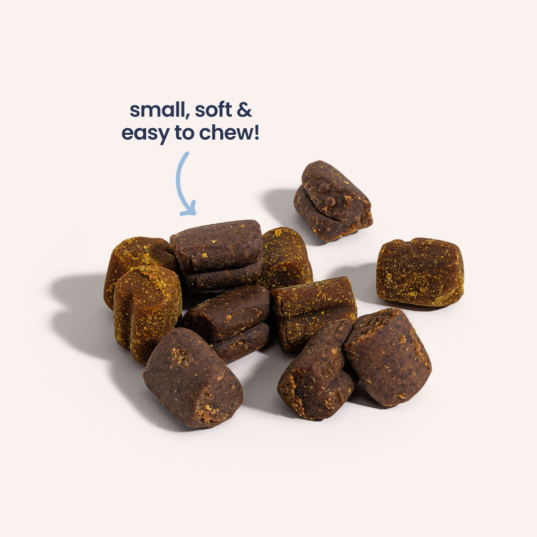 Probiotics For Dogs [Soft Chews]