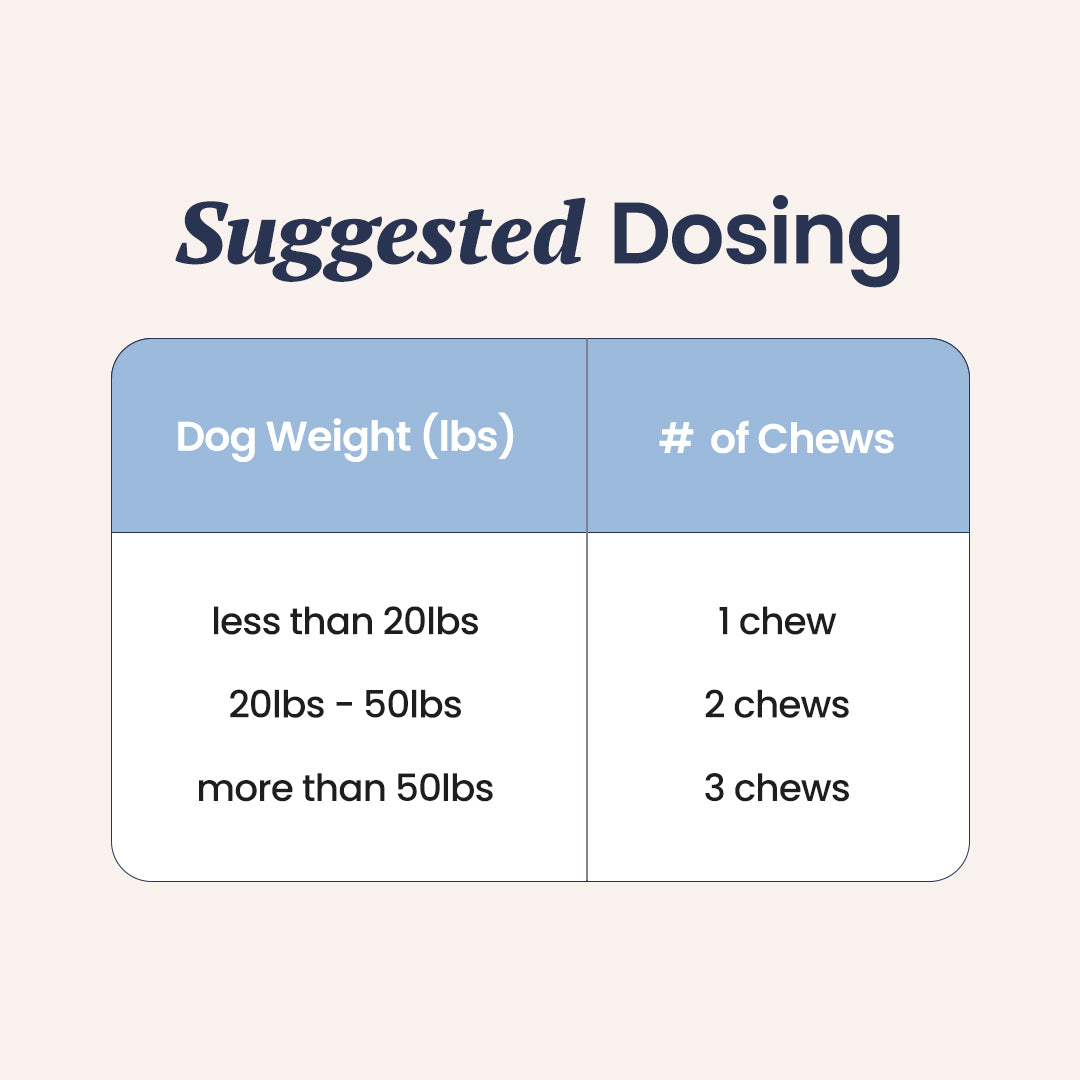 Probiotics For Dogs [Soft Chews]